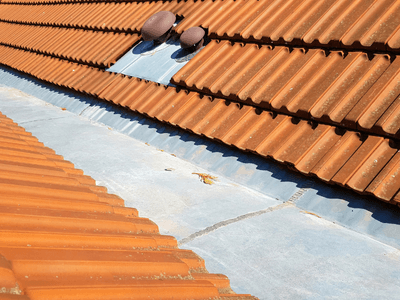 About Leaking Skylight Repair Pros Cove, AR